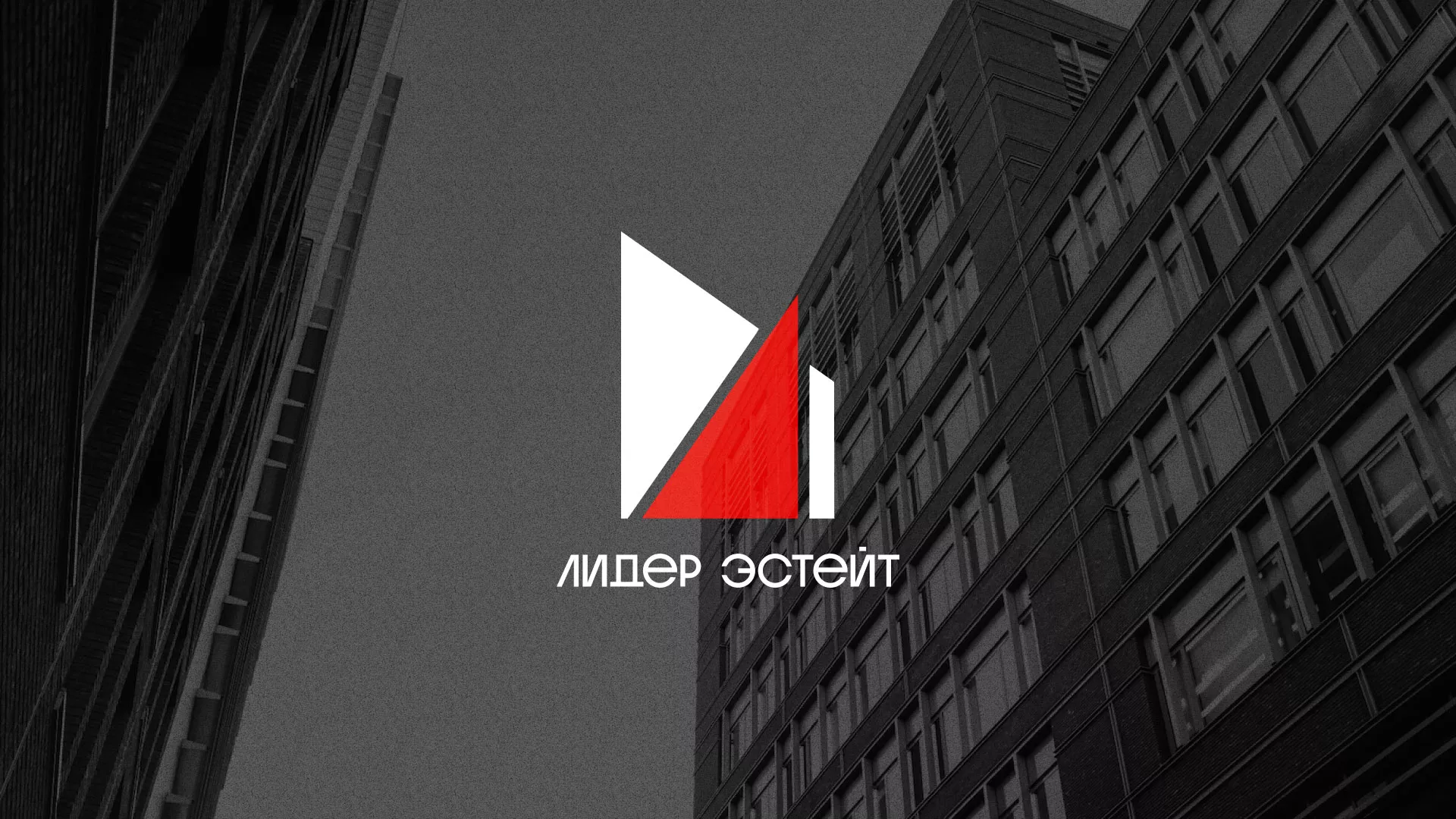 Сделали логотип для агентства недвижимости «Лидер Эстейт» в Урае